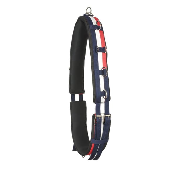 Whitaker Hest Lunging Roller