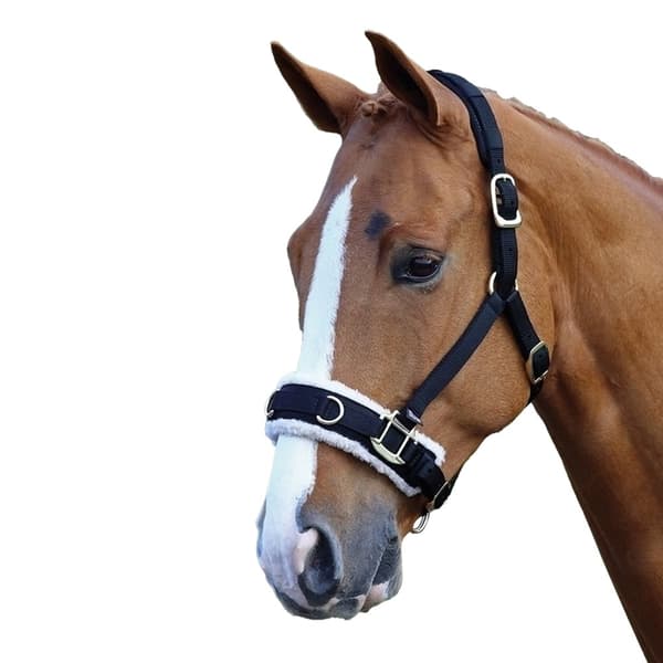Shires Fleece Lined Horse Lunge Cavesson