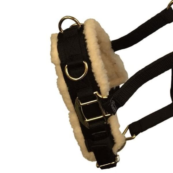 Shires Fleece Lined Horse Lunge Cavesson