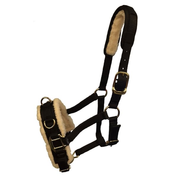 Shires Fleece Lined Horse Lunge Cavesson Black X Full