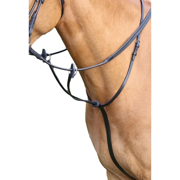 Aviemore Læder hest Running Martingale