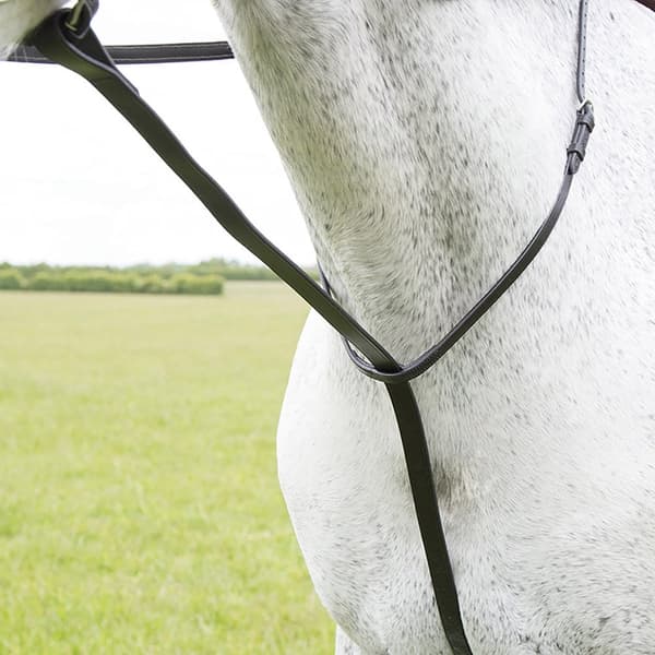 Blenheim Læder hest stående Martingale