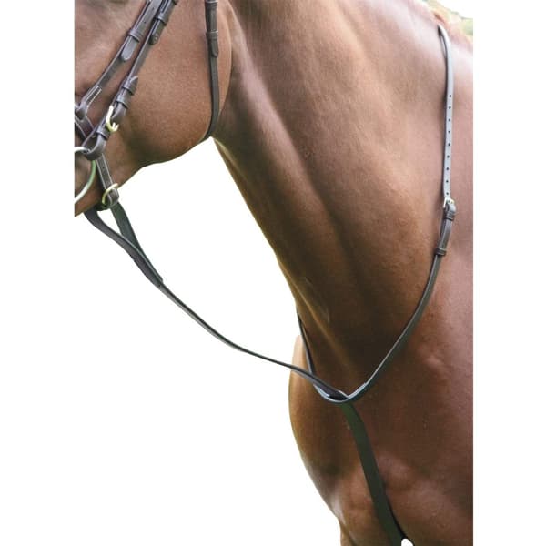 Blenheim Läder häst stående Martingale