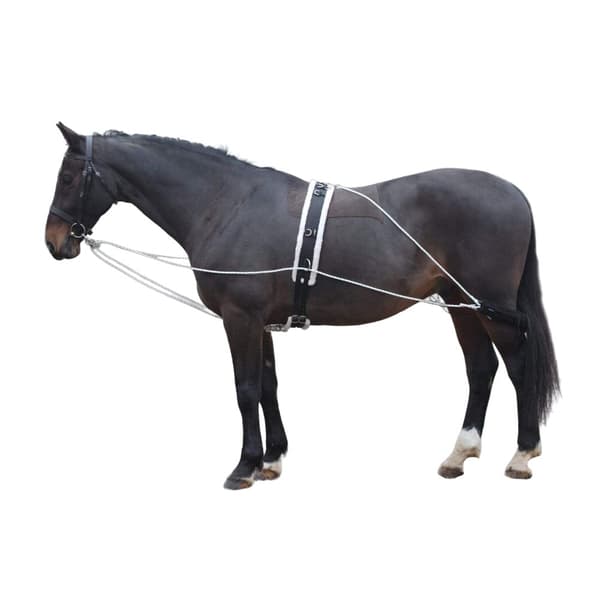 Shires Horse Lunging Aid