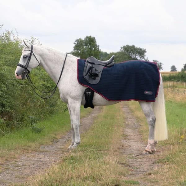 Hy DefenceX System Cool Control Horse Exercise Sheet