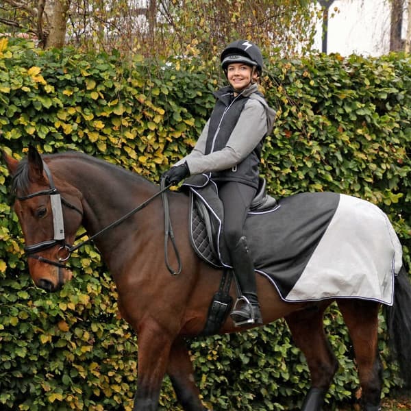 Hy Silva Flash Waterproof Horse Exercise Sheet