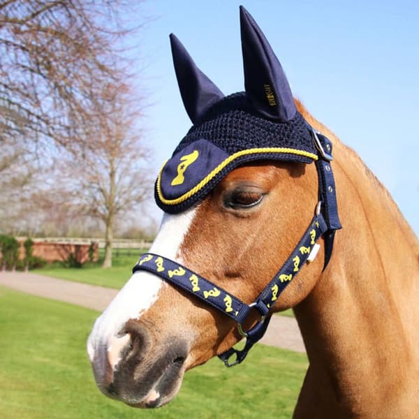 Little Knight Lancelot Horse Fly Veil