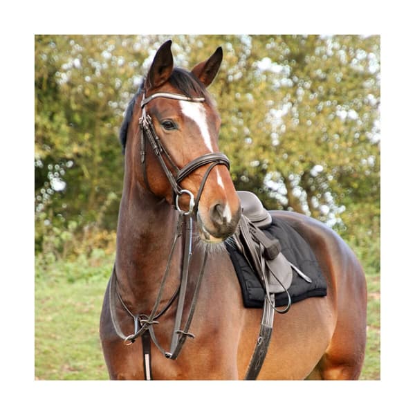 Hy Rosciano Leather Horse Browband