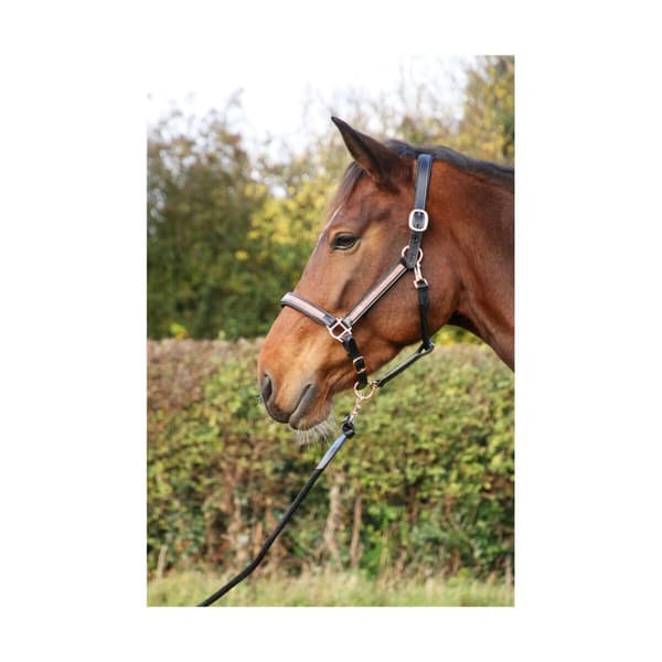 Hy Rosciano Leather Horse Headcollar