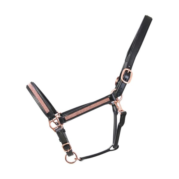 Hy Rosciano Leather Horse Headcollar