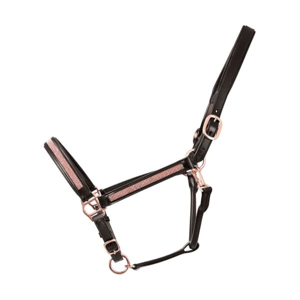 Hy Rosciano Leather Horse Headcollar
