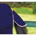 Miniatyrbild 3 av 5: Weatherbeeta Comfitec Essential Lite Plus avtagbar hals häst Turnout Rug