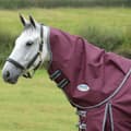 Pikkukuva 3 / 3: Weatherbeeta Comfitec Plus Dynamic II Lite Horse Turnout Neck Cover