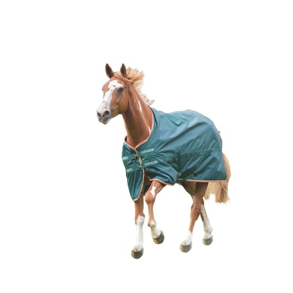Tempest Typhoon Lite Horse Turnout Rug