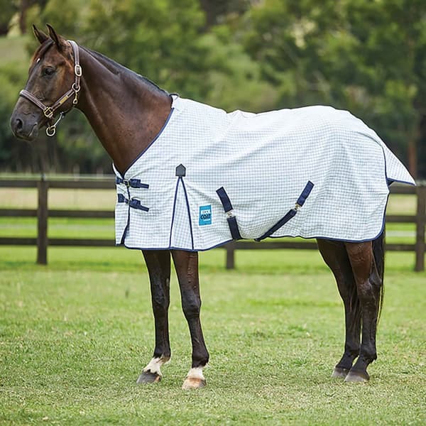 Kool Coat Classic III Standard-Neck Horse Under Rug