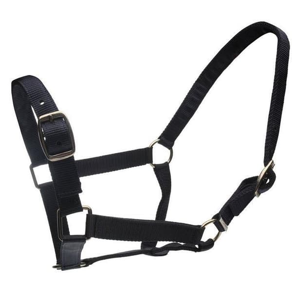 Roma Horse Headcollar and Leadrope