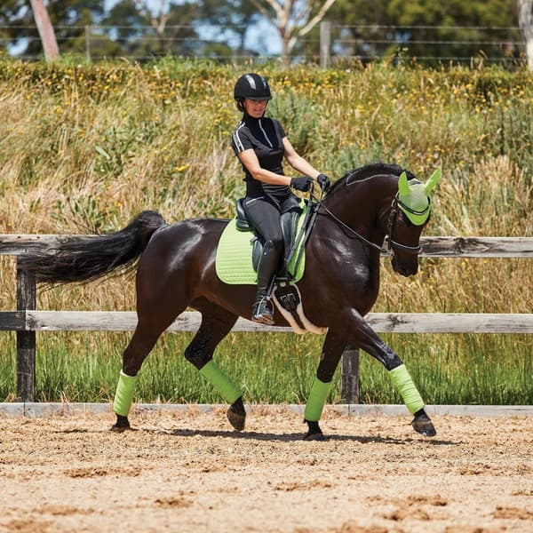 Weatherbeeta Prime Horse Dressage Saddlepad