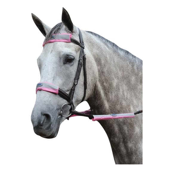 Weatherbeeta Reflective Horse Bridle (Pack of 4)