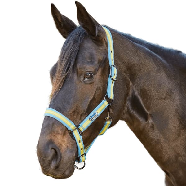 Weatherbeeta Koordineret hestehovedhalsbånd Light Blue/Gold/Sand Pony