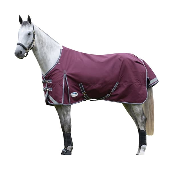 Weatherbeeta Comfitec Plus Dynamic II Standard-Neck Lightweight Horse Turnout Rug