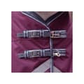 Miniatyrbilde 2 av 3: Weatherbeeta Comfitec Plus Dynamic II Detachable Neck Medium Lightweight Horse Turnout Rug