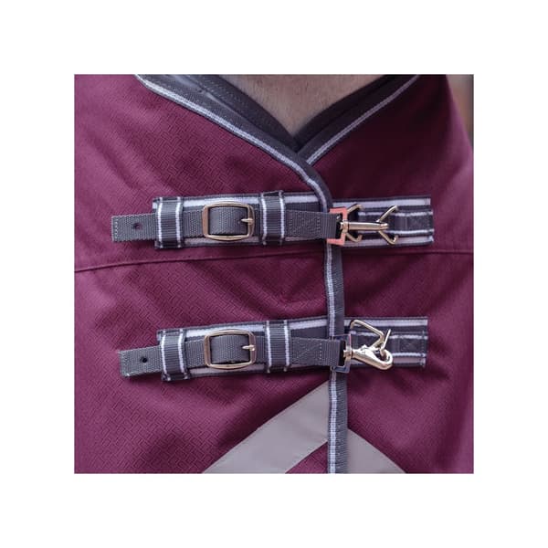 Weatherbeeta Comfitec Plus Dynamic II Standard-Neck Medium Lightweight Turnout Rug til heste