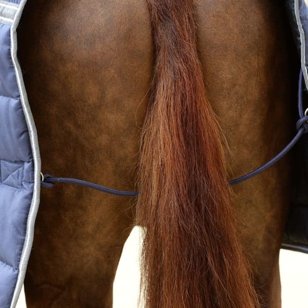 Weatherbeeta Comfitec PP II Combo Neck Channel Quilt Heavyweight Horse Turnout Rug