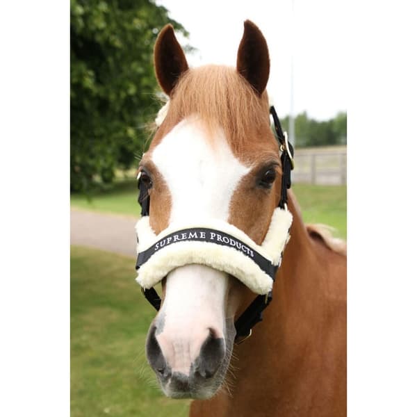 Supreme Products Royal Occasion Horse Headcollar