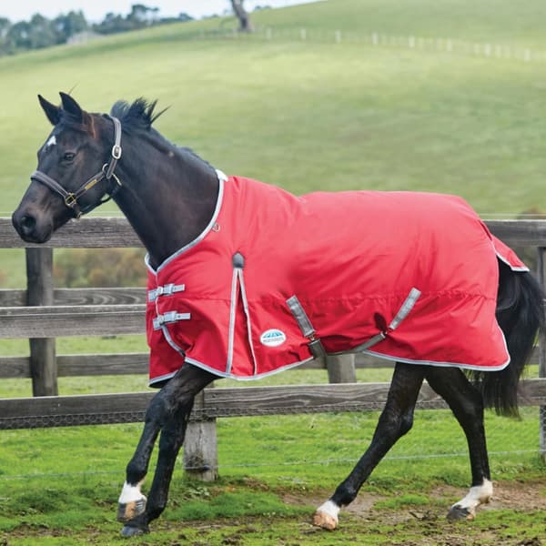 Weatherbeeta Comfitec Classic Standard-Neck Medium Lightweight Horse Turnout Rug