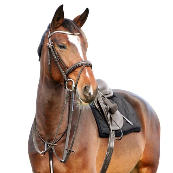 Hy Rosciano Horse Stirrup Leathers