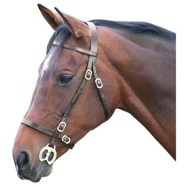 Blenheim Leather Plain Horse Inhand Bridle
