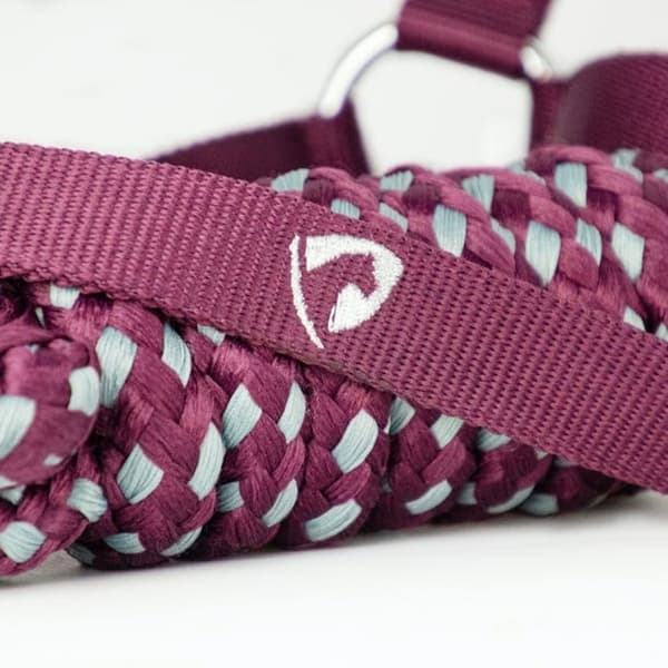 Hy Synergy Horse Headcollar and Leadrope