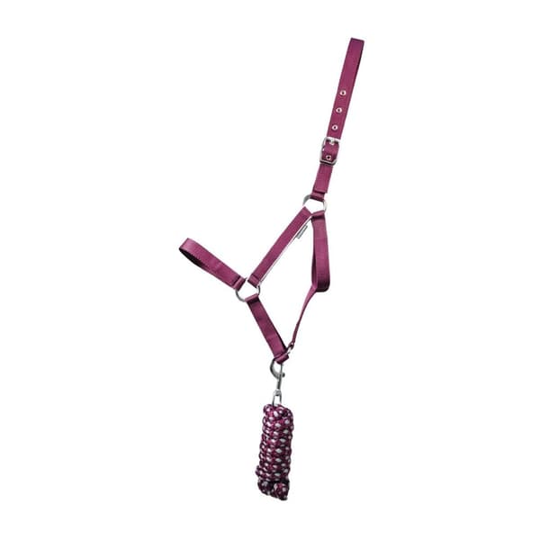 Hy Synergy Horse Headcollar and Leadrope