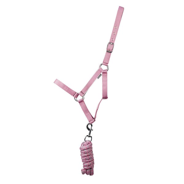 Hy Synergy Horse Headcollar
