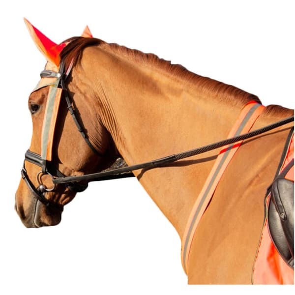 HyVIZ Horse Martingale
