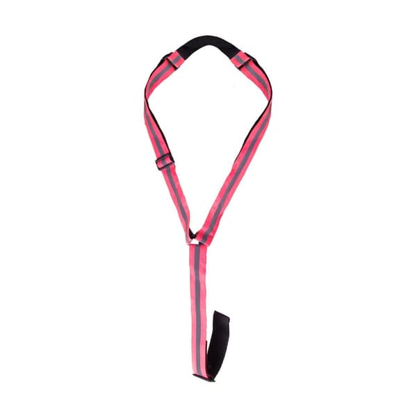 HyVIZ Horse Martingale