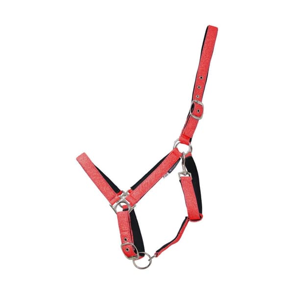 Hy Glitzy Headcollar til heste