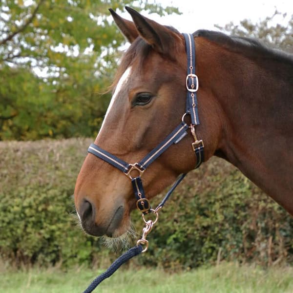 Hy Glitter Horse Headcollar and Leadrope