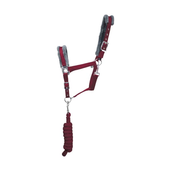Hy Sport Active Horse Headcollar and Leadrope