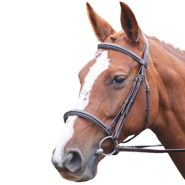 Avignon Padded Leather Horse Cavesson Noseband Havana Pony