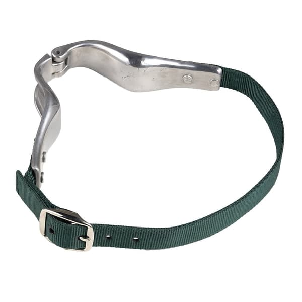 Shires Nylon Hästbädd biter halsband Silver/Sea Green One Size