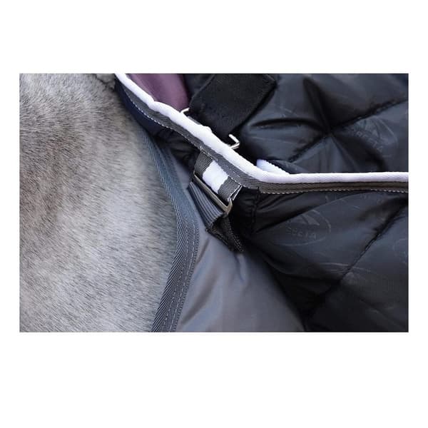 Weatherbeeta Comfitec PP II Detachable Neck Channel Quilt Midweight Horse Stable Rug