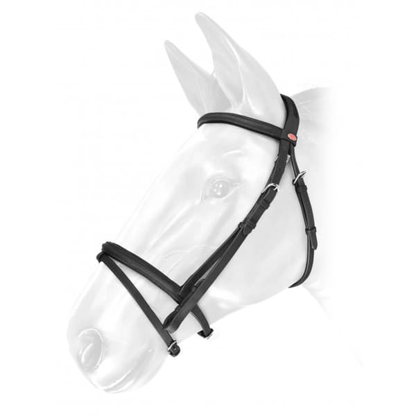 Whitaker Ready To Ride Oiled Leather Horse Flash Bridle