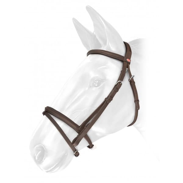 Whitaker Ready To Ride Oiled Leather Horse Flash Bridle
