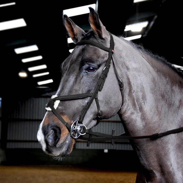 Whitaker Ready To Ride Mexican Oiled Leather Horse Bridle