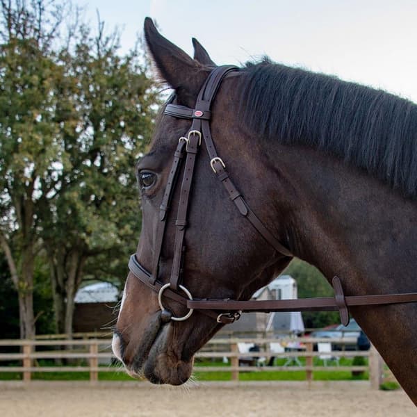 Whitaker Ready To Ride Leather Horse Snaffle Bridle