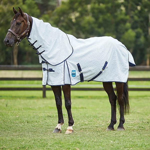 Kool Coat Classic III Combo Neck Horse Turnout Rug
