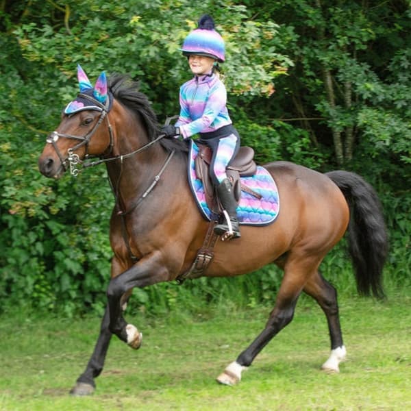 Little Rider Dazzling Night Prismatic Horse Fly Veil