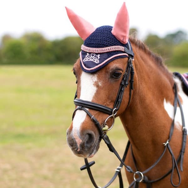 Little Rider The Princess And The Pony Horse Fly Veil