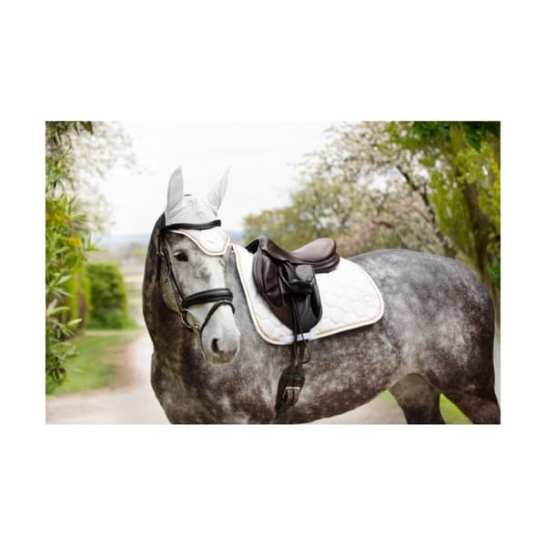 Coldstream Marygold Horse Fly Veil